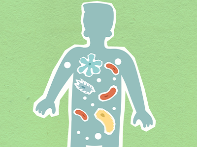 Hogyan támogathatod a mikrobiomot, és mi a szerepe